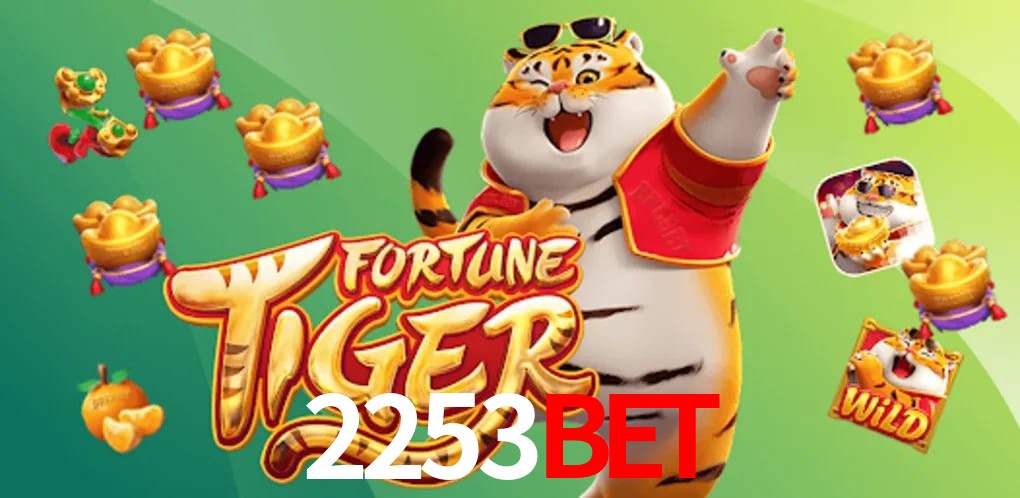 Experiência VIP 2253bet